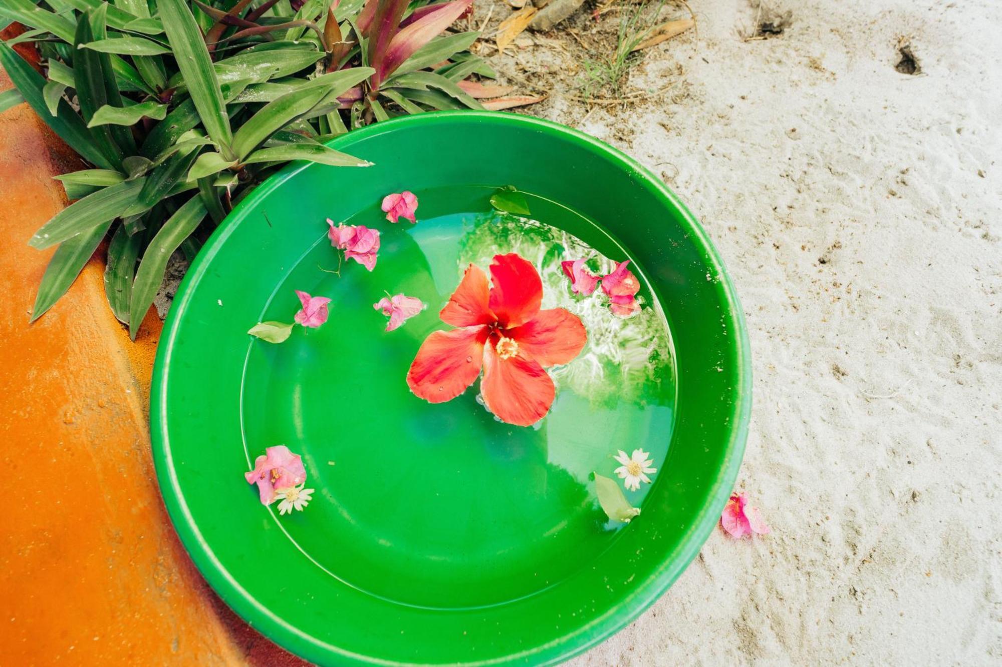 Maisara Mafia Beach Lodge كيليندوني المظهر الخارجي الصورة